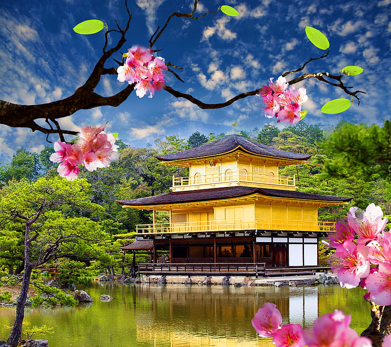 Golden Pavilion, asian, blosso, nature, river, temple, HD wallpaper