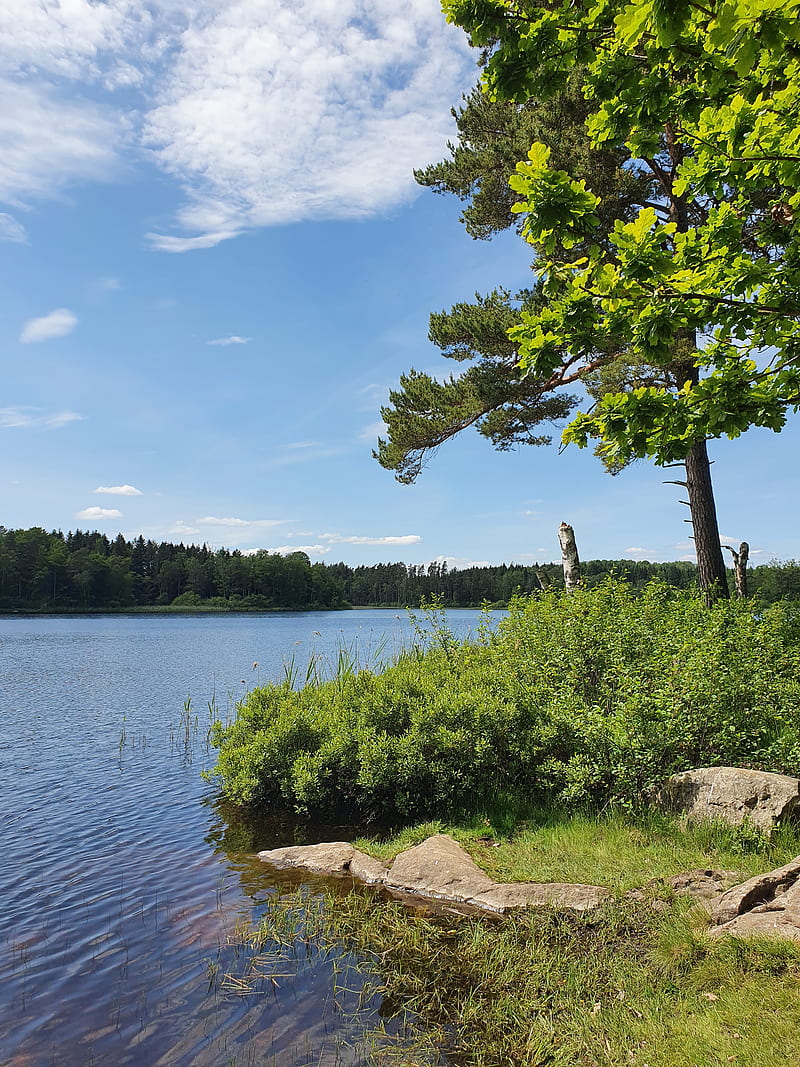 Tålmodighed Turbulens stil Swedish nature, lake, nature, south sweden, water, HD mobile wallpaper |  Peakpx
