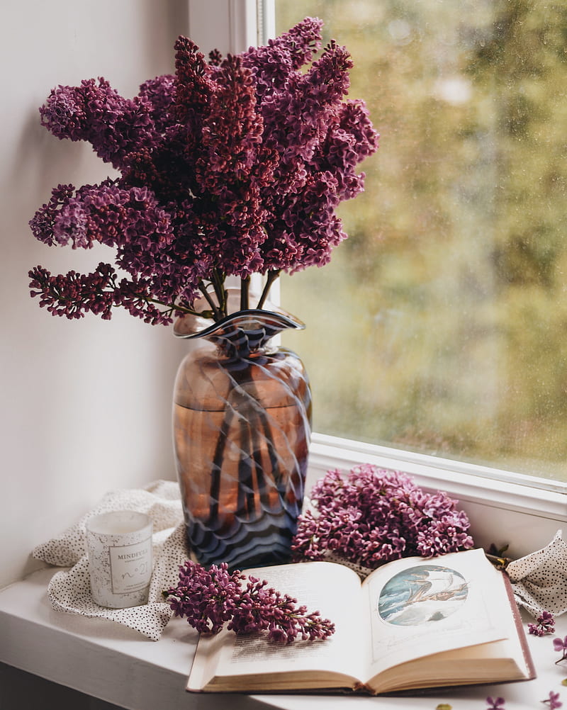 lilac, book, vase, comfort, window, HD phone wallpaper