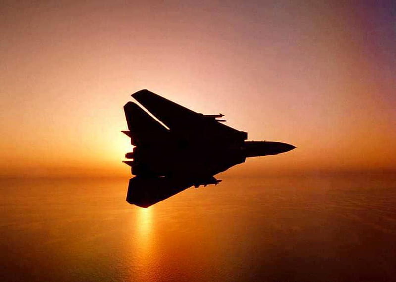 Grumman F 14 Tomcat - Silhouette @ Sunset., fighter jet, interceptor jet, f14 tomcat, sunset, grumman, silhouette, HD wallpaper