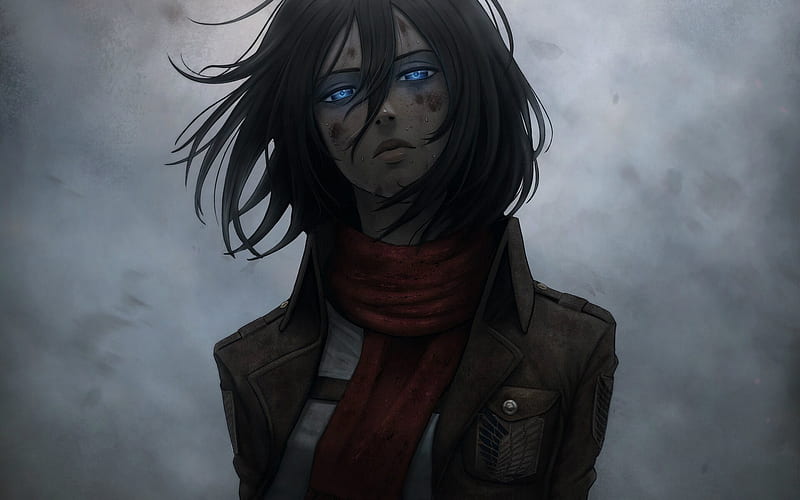 Shingeki no Kyojin, Mikasa Ackerman, portrait, japanese anime, main characters, art, HD wallpaper