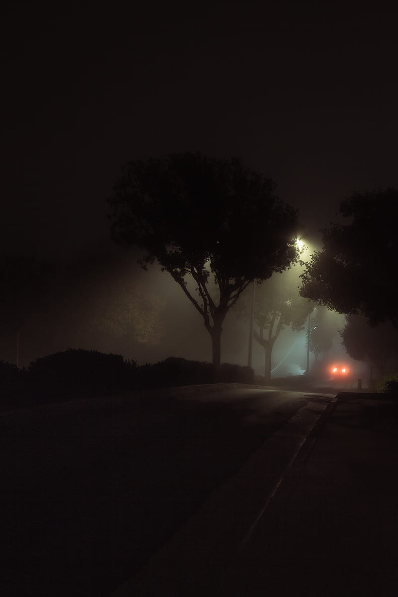 Street, night, fog, car, lights, HD phone wallpaper