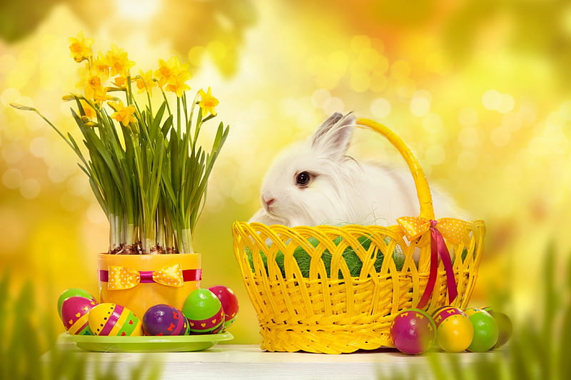 Easter, bokeh, easter eggs, eggs, flowers, bunny, happy easter, HD wallpaper