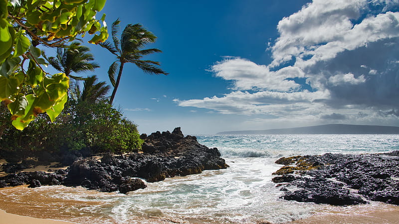 Stones Rocks Ocean Waves Palm Trees Beach Sand Under White Clouds Blue ...