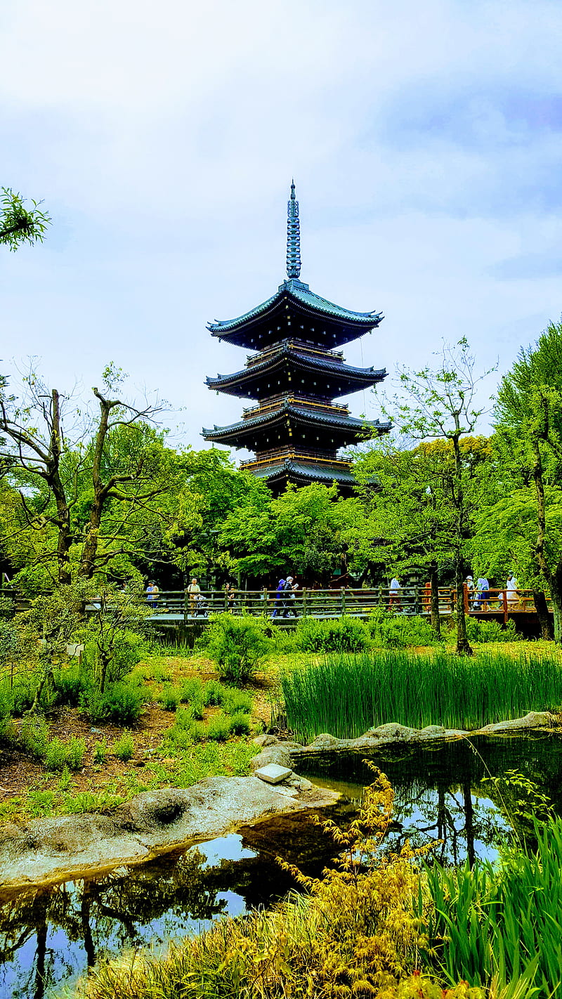 Ueno Zoo Pagoda, bonito, japan, natural, nature, tokyo, ueno zoo, HD phone wallpaper