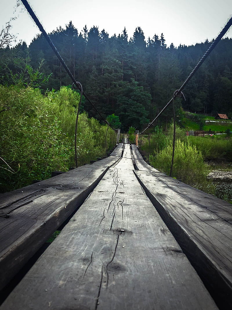 bridge, nature, landscape, forest, trees, Romania, HD phone wallpaper
