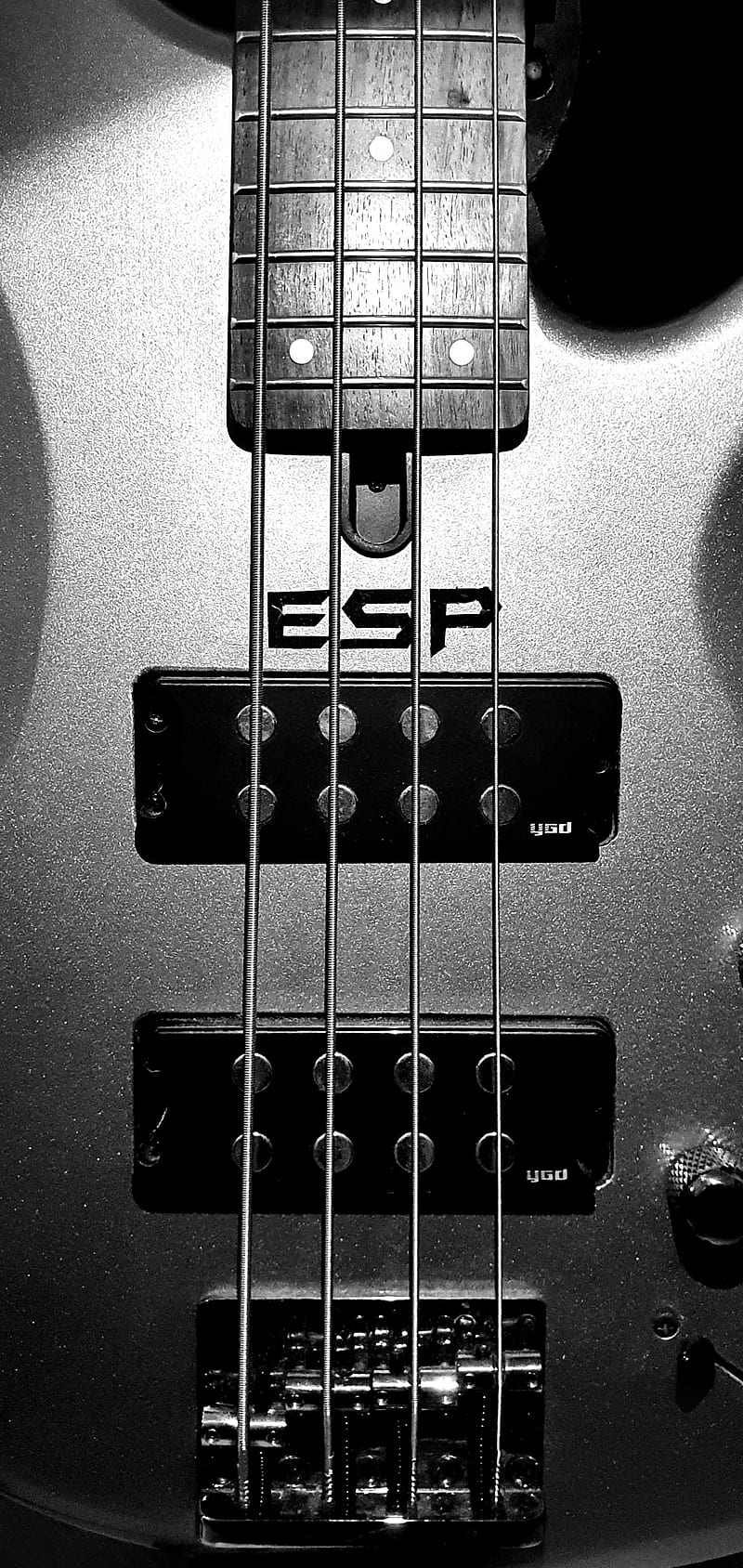 Yamaha bass esp, bajo, eléctrico, guitarra, instrumentos, musical, yamaha,  bajo yamaha, Fondo de pantalla de teléfono HD | Peakpx
