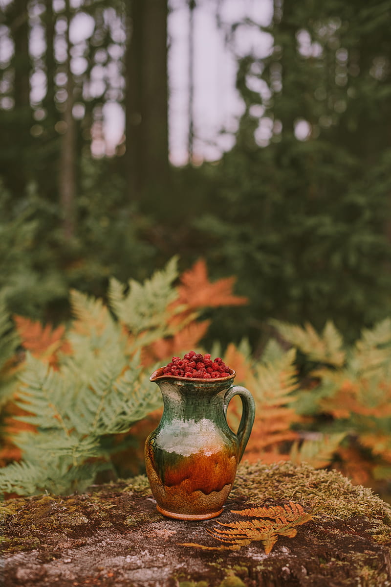 jug, raspberries, berries, nature, autumn, HD phone wallpaper