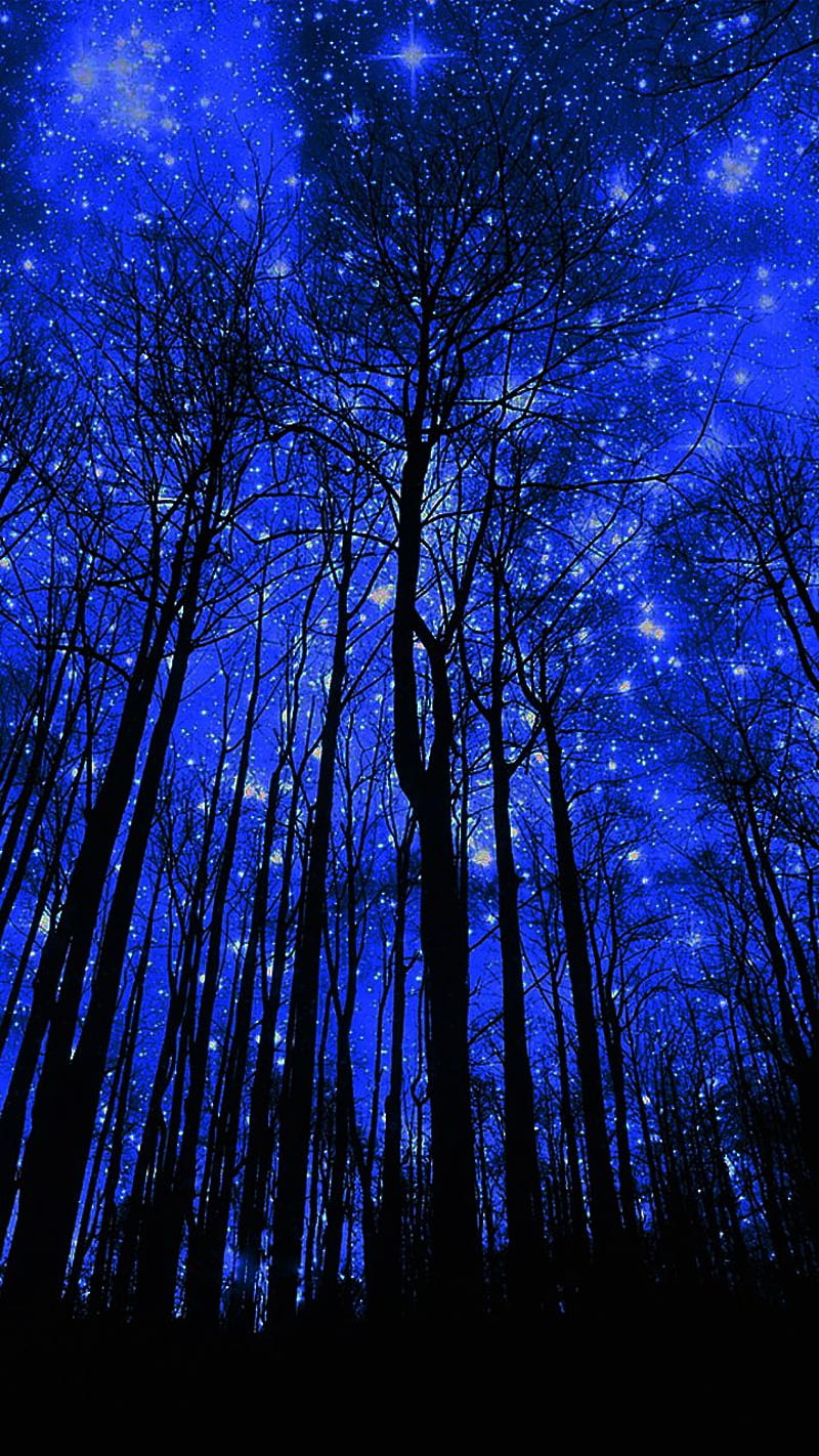 Starry Night Forest . Resim, Telefon duvar kağıtları, Doğa, Beautiful Night Forest, HD phone wallpaper