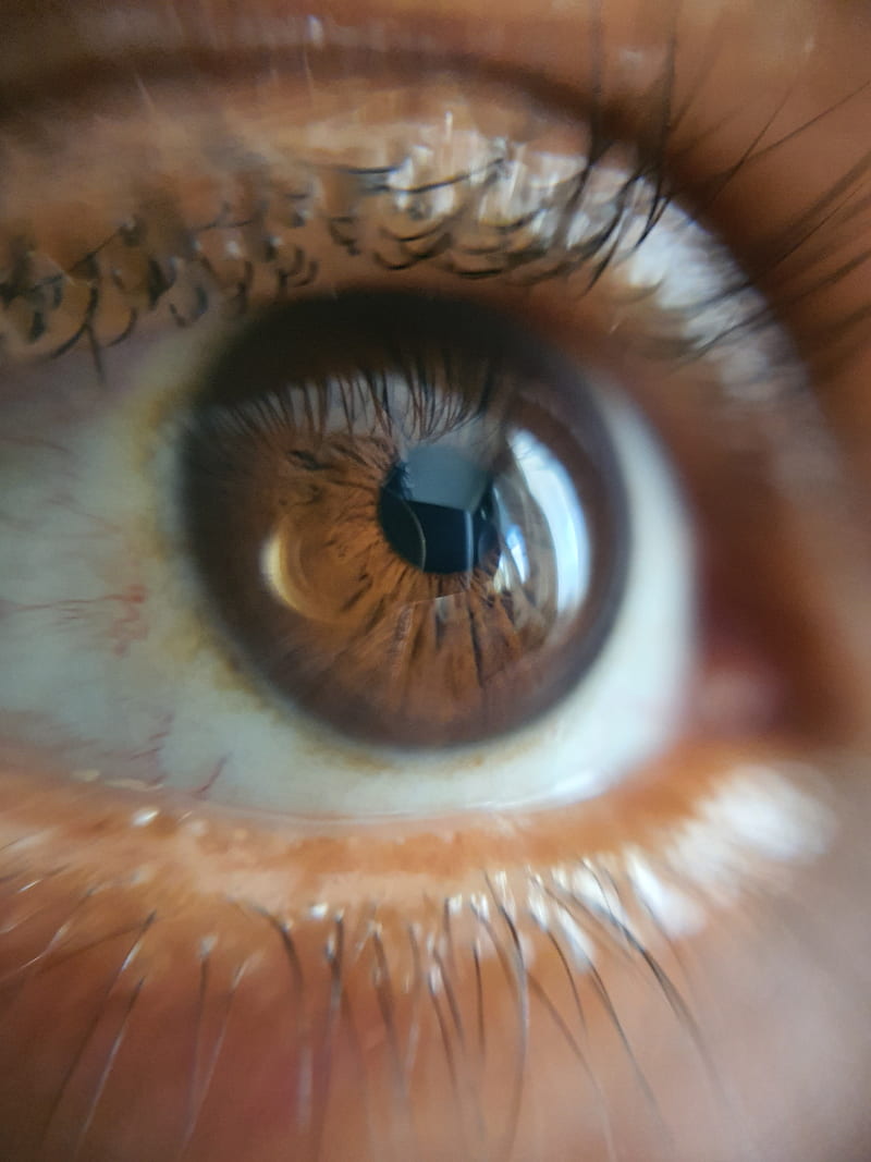 Vision, brown, eye, eyeball, eyelashes, iris, macro, pupil, sight, HD phone wallpaper