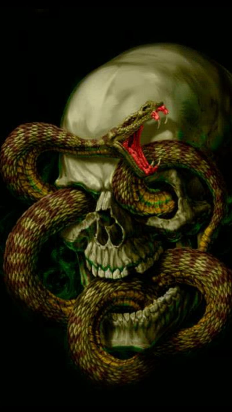 Snake and skull, cool, skull, HD phone wallpaper