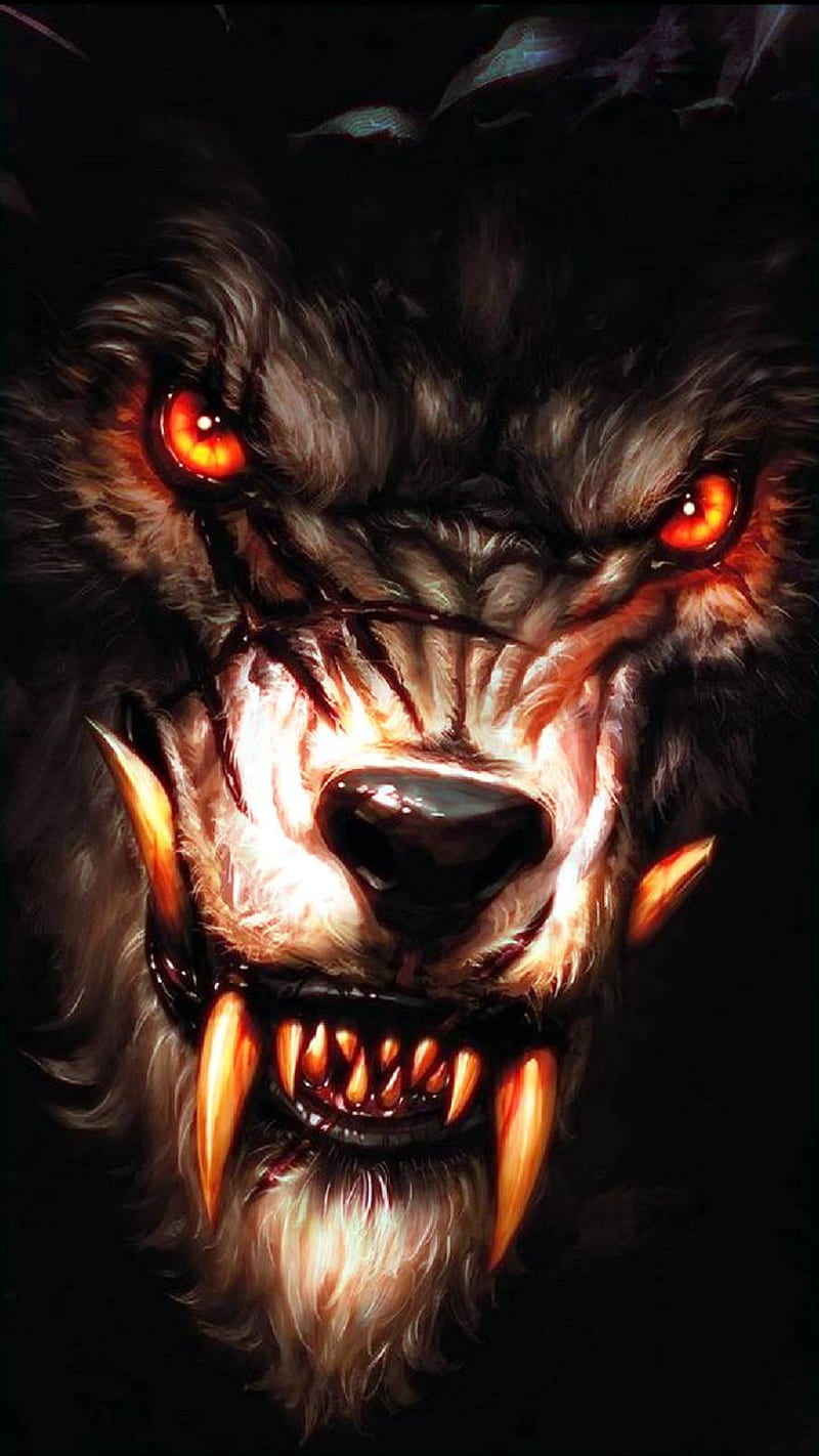 Angry wolf hi you funny idk HD phone wallpaper  Peakpx
