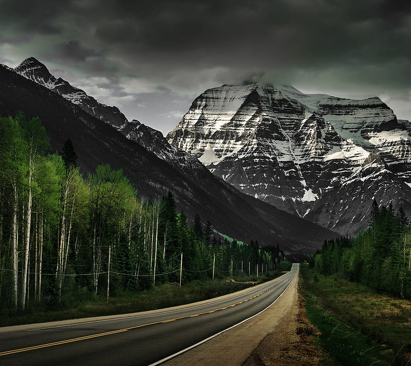 Dark Mountain, forest, path, road, HD wallpaper