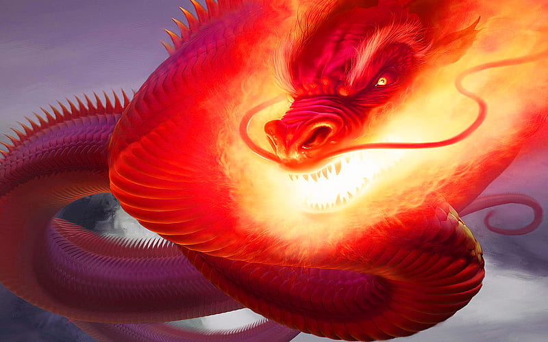 Dragon, fire, red, snake, HD wallpaper | Peakpx