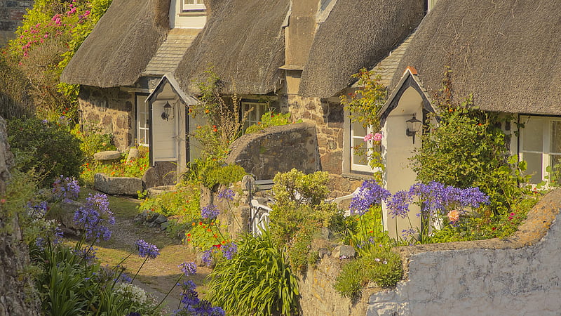 England Cornwall Cottage During Daytime Travel, HD wallpaper