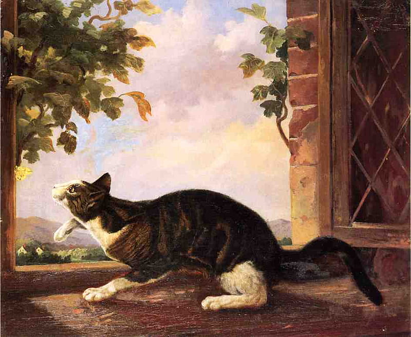 John Audubon. 1861. 'Cat stalking a butterfly', classic art, nature, cat, romanticism, HD wallpaper