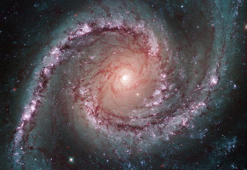 NGC 1566, Hubble, Galaxy, NGC1566, Constellation of Dorado, HD wallpaper