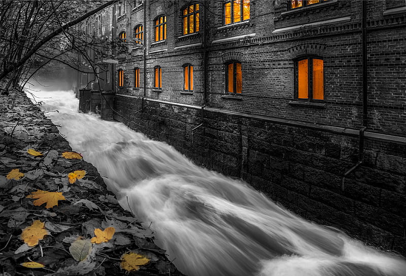 Buildings, Building, Fall, Leaf, River, Water, Window, HD wallpaper