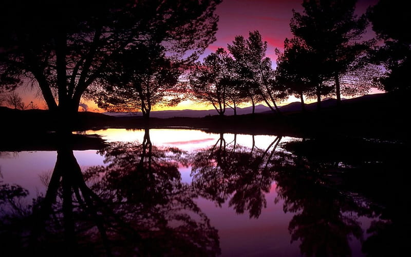 purple sky, dusk, pretty, sunset, trees, HD wallpaper purple sky, dusk, pretty, sunset, trees, HD wallpaper