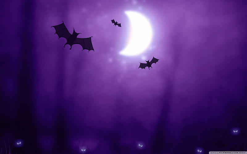 bats-Happy Halloween, HD wallpaper