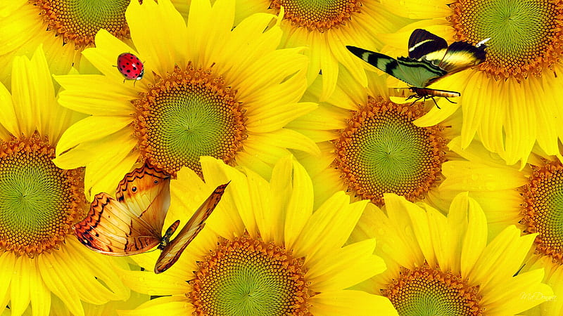 Wall of Sunflowers, fall, autumn, sunflowers, bright, summer, yellow, lady bug, butterflies, HD wallpaper