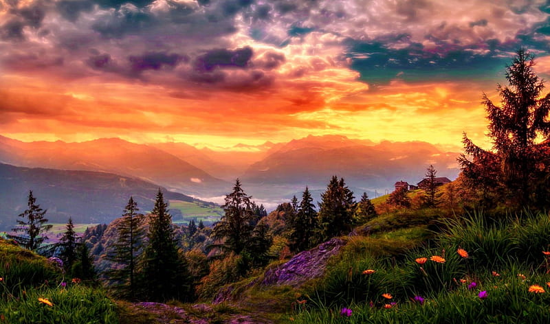Sunset mountain, hills, amazing, bonito, sunset, sky, clouds, valley, mountain, wildflowers, nature, landscape, HD wallpaper