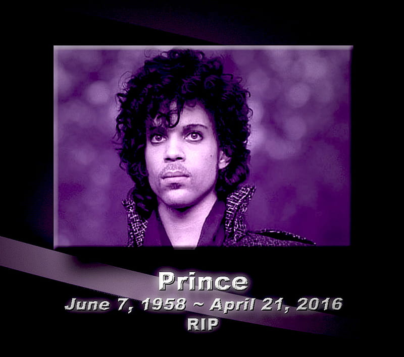 Prince, musician, purple, singer, HD wallpaper