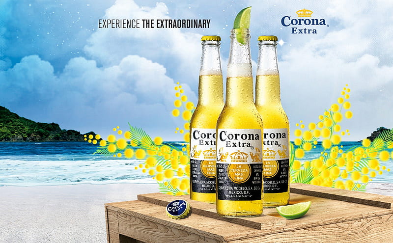 Corona Extra Beer, alcohol, corona extra, drink, beer, bottles, HD wallpaper