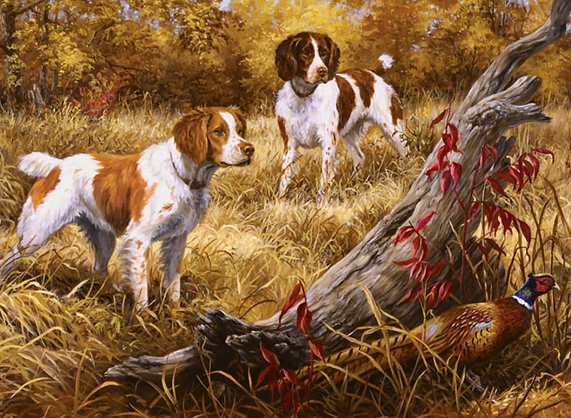 Brittany Spaniels F2, fall, art, autumn, pheasant, Brittany Spaniel, artwork, canine, animal, pet, point, painting, wide screen, dog, HD wallpaper