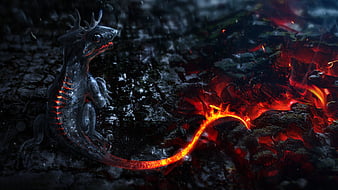 Extremely Cool Dragon Wallpapers - Top Free Extremely Cool Dragon  Backgrounds - WallpaperAccess