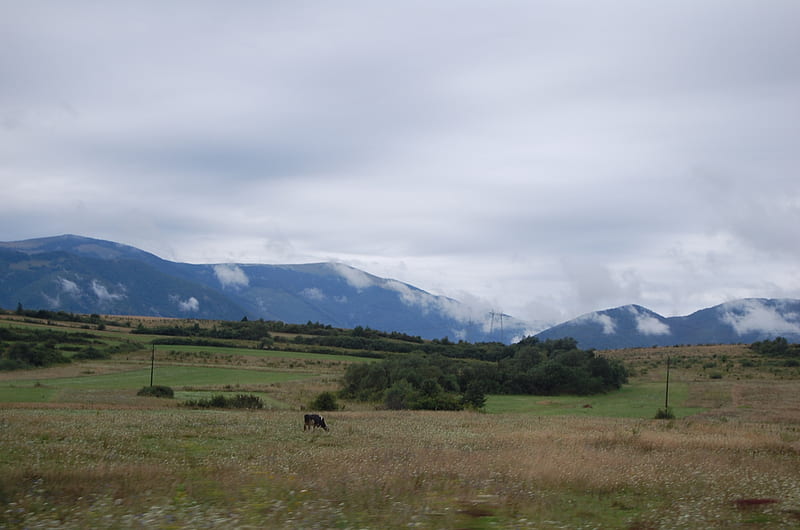 blue maountains, mountain, pick, nature, cloudy, HD wallpaper