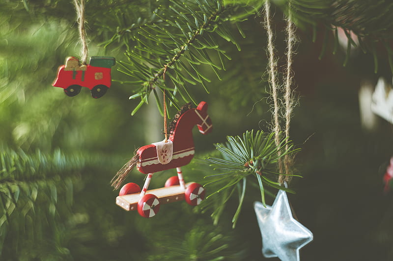 red and white plastic toy on green pine tree, HD wallpaper