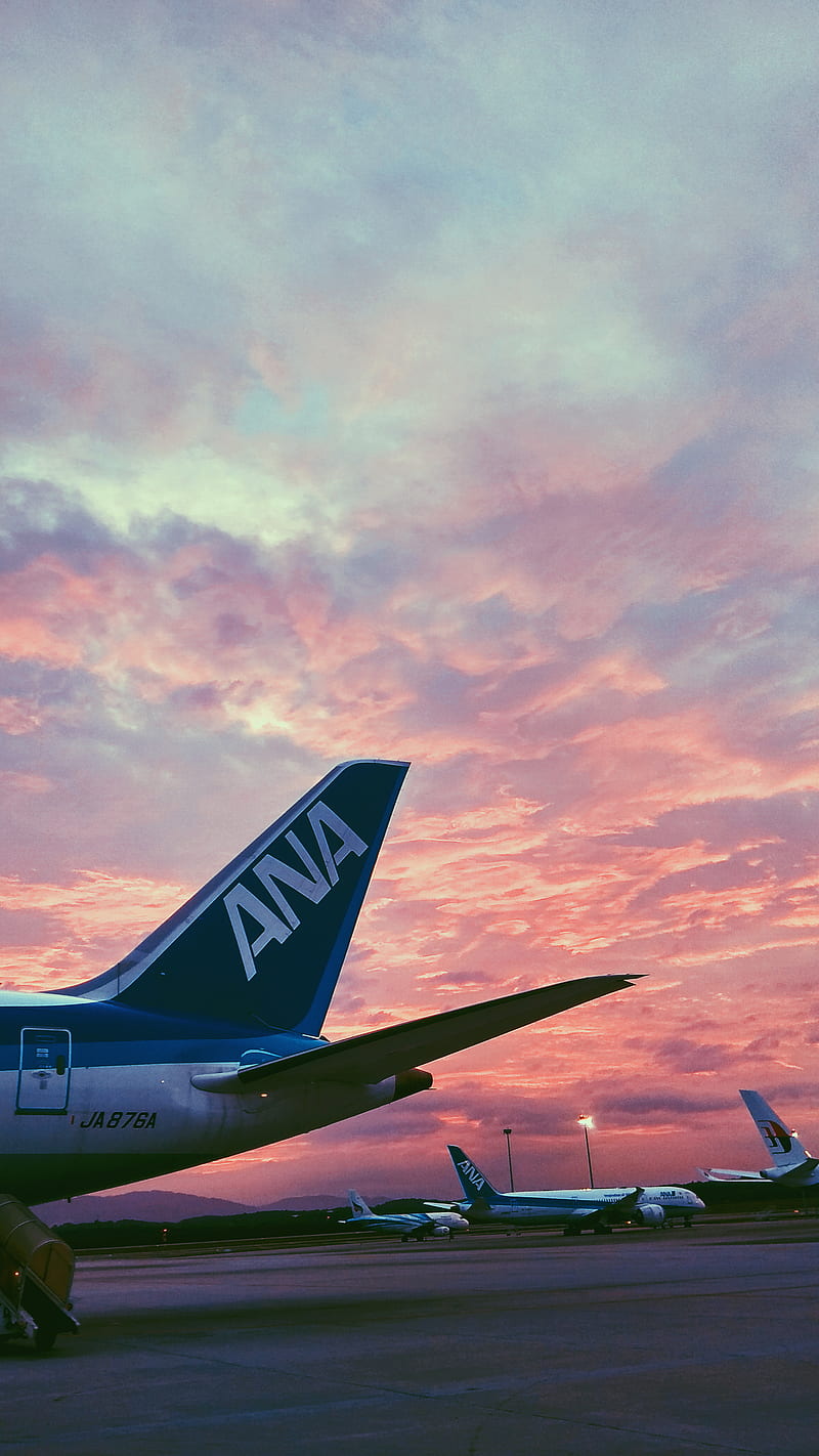 All Nippon Airline Aircraft Airplane Anime Aviation Cool Pink Plane Hd Phone Wallpaper Peakpx