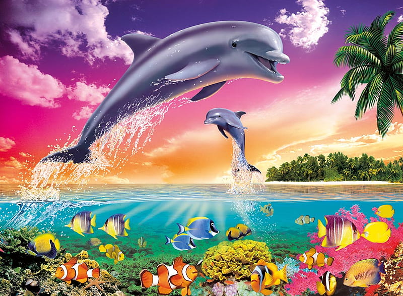 Belleza de delfines, color, arco iris, delfines, océano, Fondo de pantalla  HD | Peakpx