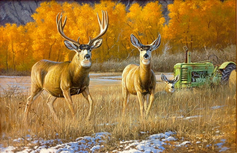 Farmland Philanderer, snow, deer, autumn, tractor, painting, artwork, HD wallpaper