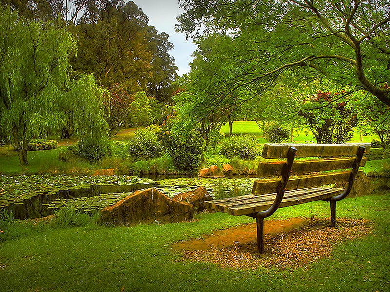 A bench in the park, green, bench, garden, park, monet, lonely, trees, HD wallpaper