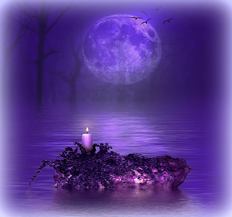 Purple Moments, premade BG, candlelight, softness beauty, attractions in dreams, stock , landscapes, flowers, resources, moons, flying birds, colors, love four seasons, creative pre-made, purple, backgrounds, HD wallpaper