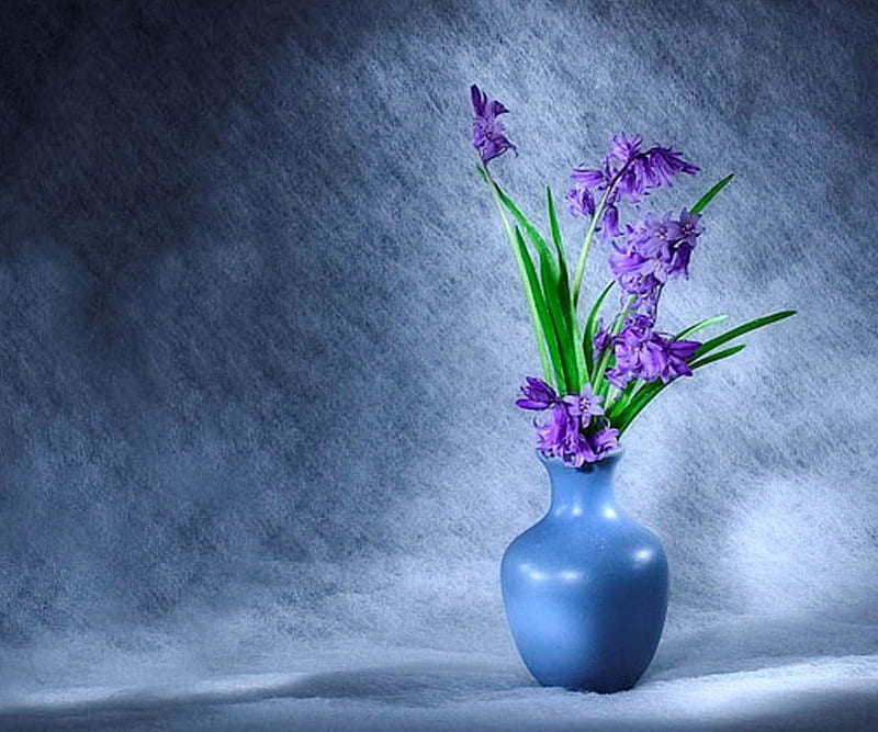 Blue and violet, vase, flowers, violet, blue, HD wallpaper | Peakpx