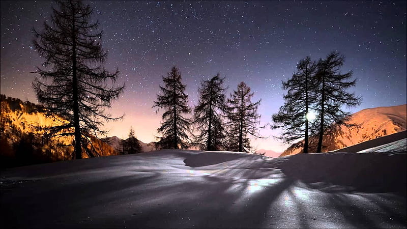 winter evening, sun, sunset, snow, trees, HD wallpaper