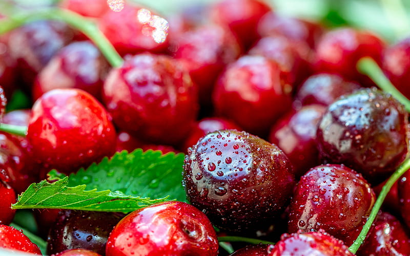 cherries, berries, fruits, ripe cherries, drops of water on berries, HD wallpaper