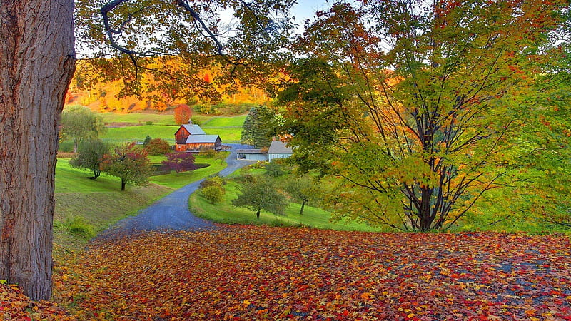 Peaceful autumn amazing, autumn, house, colors, bonito, trees, farm, leaves, farmhouse, new england, nature, landscape, HD wallpaper