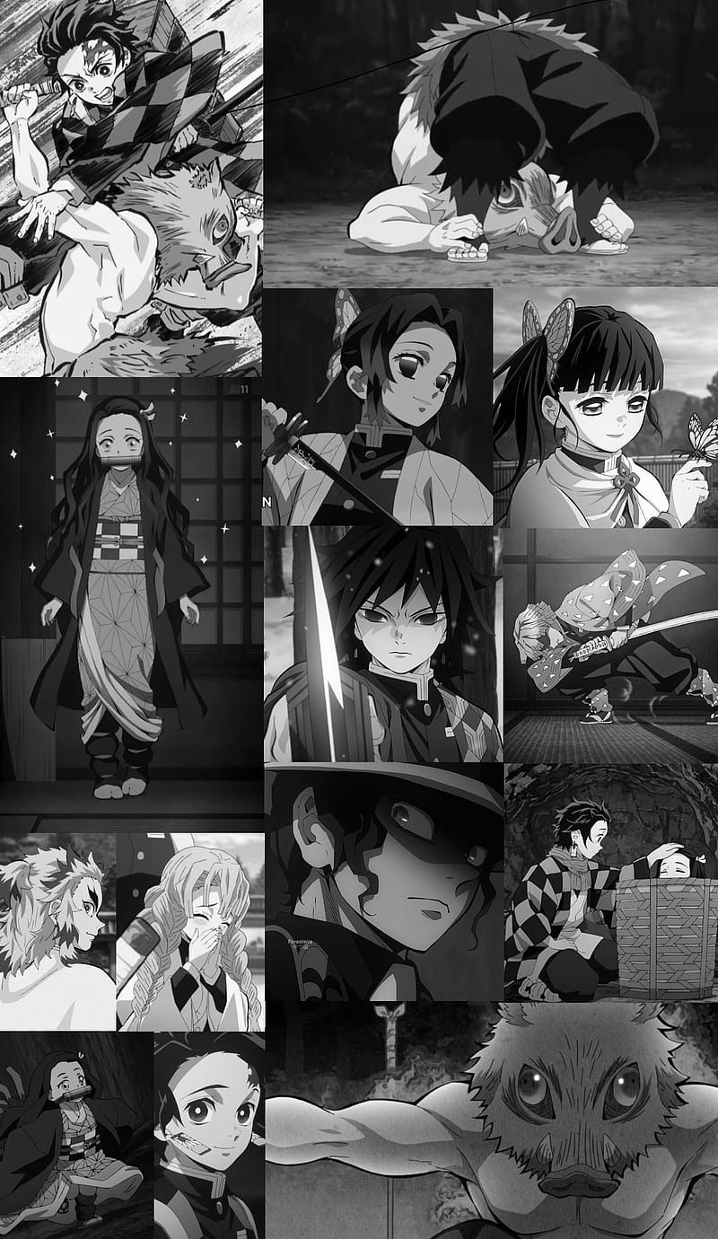Tanjiro Black and White. Animes, Ilustração de mangás, Papel de parede  anime, HD phone wallpaper