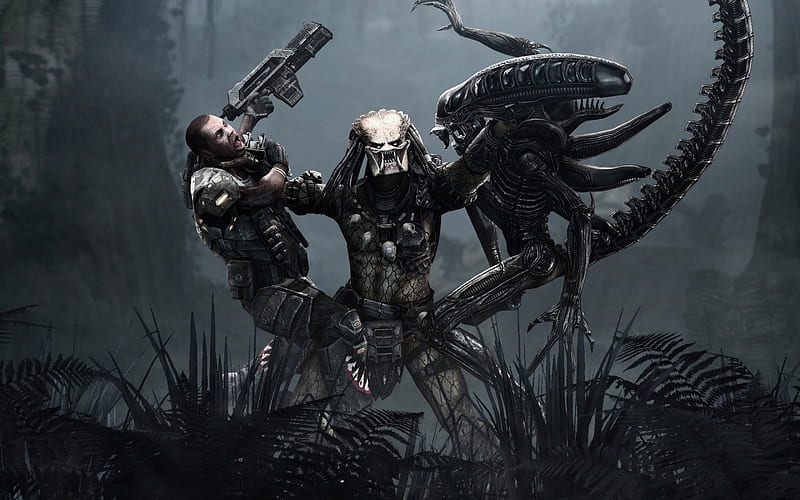 Alien Vs Predator Vs HUMANS..!!.., predator, guerra, battle, planet, human, alien, HD wallpaper