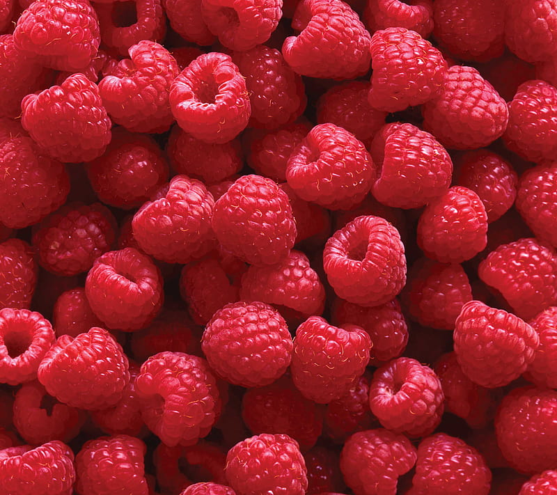 Raspberries, berries, fresh, fruit, red, HD wallpaper