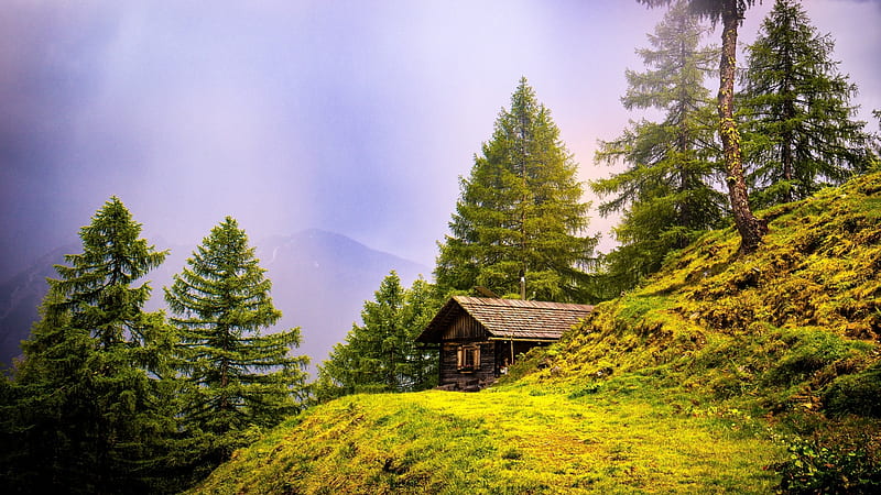 Alpine hut, Trees, Fog, Lonely, Hut, HD wallpaper