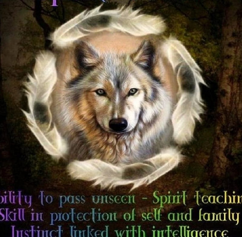 Spirit Guide'....., mystical, spiritual, spirit wolf, spirit guide, HD  wallpaper | Peakpx