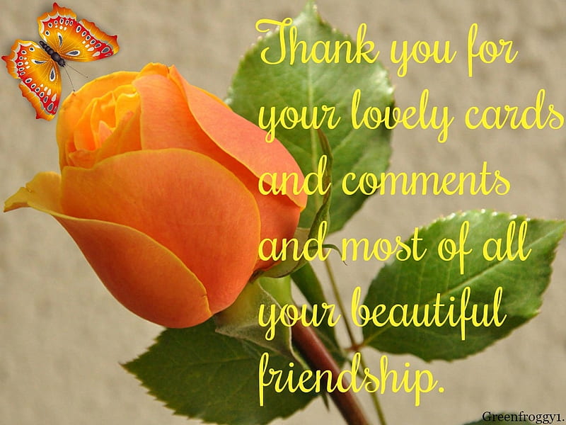 free download | THANK YOU, YOU, COMMENT, CARD, THANK, HD wallpaper | Peakpx