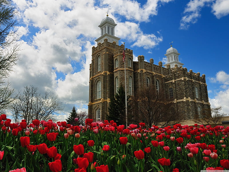 Temple, church, flowers, red, HD wallpaper