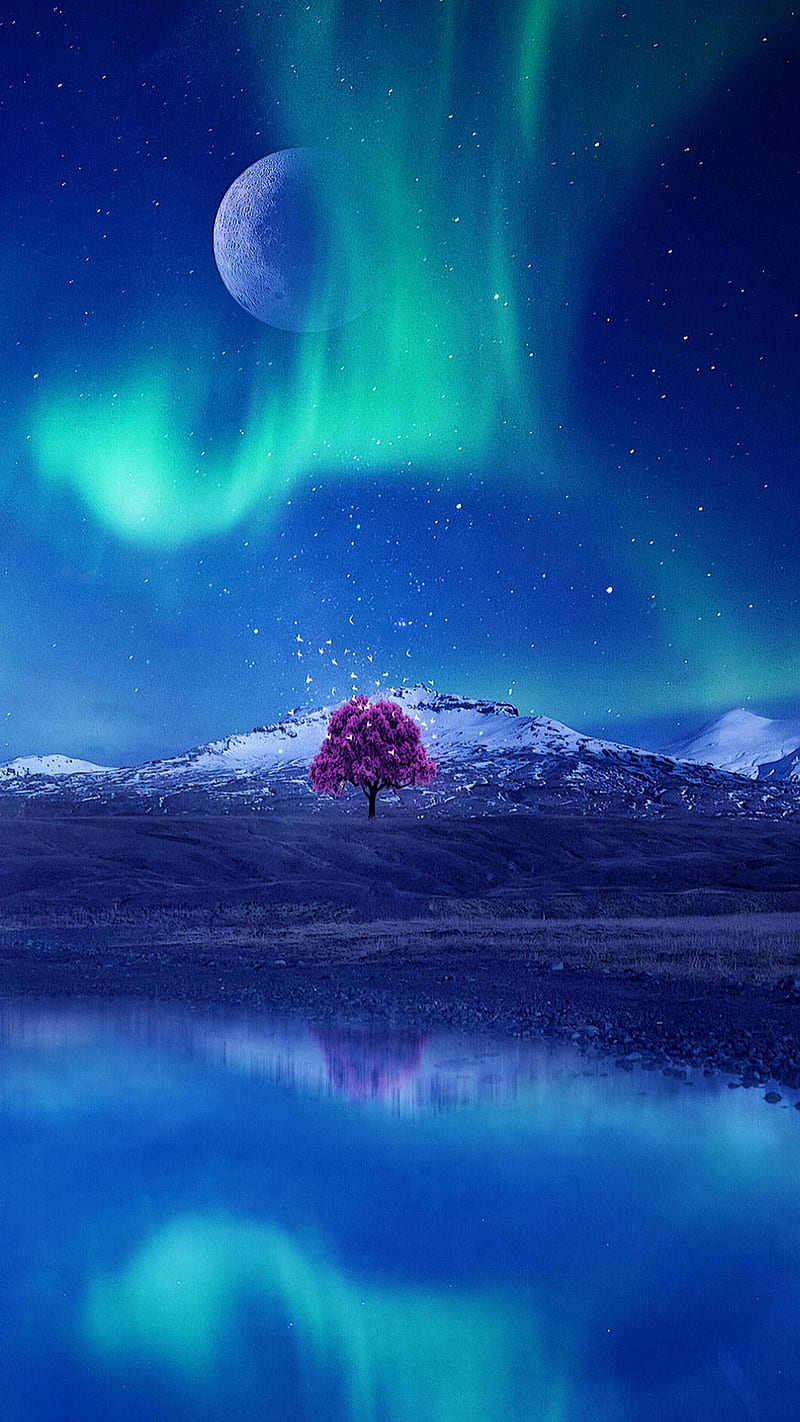 Aurora, blue, lake, lights, night, northern lights, pink tree, planet,  reflection, HD phone wallpaper | Peakpx