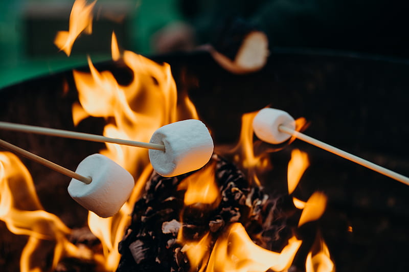 selective focus graphy of marshmallows on fire pit, HD wallpaper